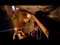 A cozy night in my cliff shelter caught in a thunderstorm mushroom hunting bushcraft skills