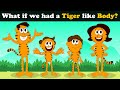 What if we had a Tiger like Body? + more videos | #aumsum #kids #science #education #whatif