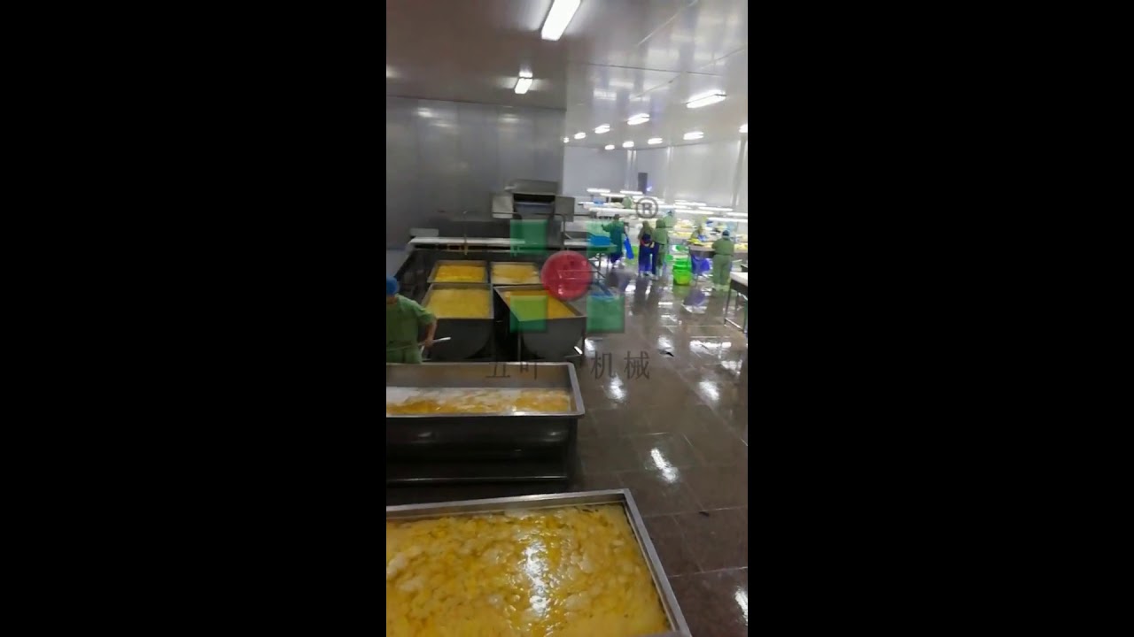 automatic peach freezing processing machines/industrial food quick freeze production line equipment