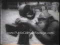 Chimps using 16mm film camera publicdomainfootagecom