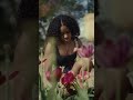 Tulip Picking | Red Raptor