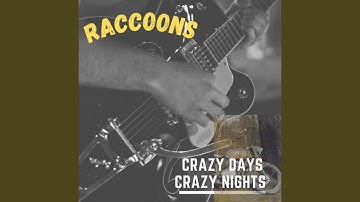 Crazy Days Crazy Nights