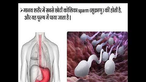 Cell | The fundamental unit of life | important point about cells |Chapter - 5 | Class - 9 |