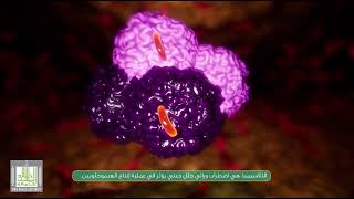 الثلاسيميا: انيميا البحر الابيض المتوسط - Thalassemia