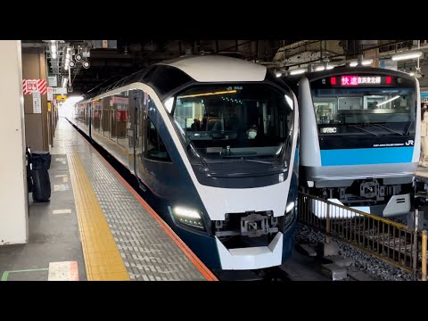 【臨時特急サフィール踊り子3号伊豆急下田行きに伴う送り込み回送】E261形ｵｵRS2編成が回送電車として大宮駅3番線に到着停車するシーン（回8103M）2023.2.22