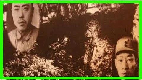 皖南事变三个叛变者结局：都难逃一死！ - 天天要闻