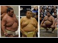 Terunofuji takakeisho takayasu kirishima injury updates may 15th