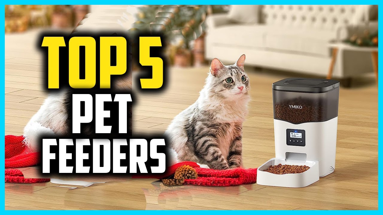 ✅Best Automatic Pet Feeders in 2024