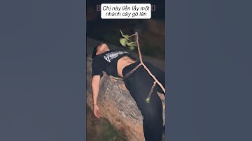 Anh trai 6 múi ngủ quên | BEN BẢNH BAO