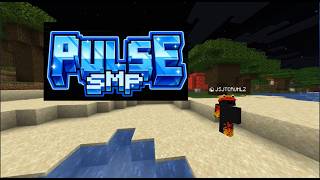 My Application To Join The Pulse SMP