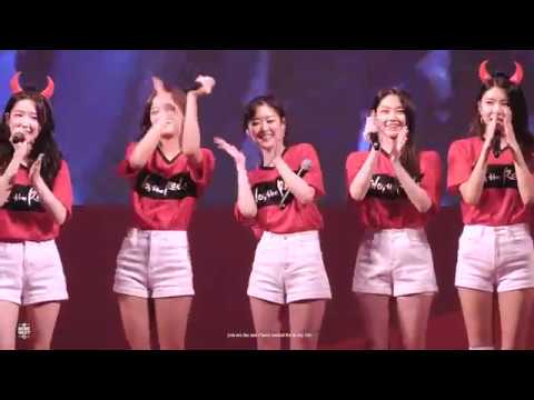 18618 월드컵 거리응원 구구단 미미