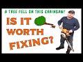 A Tree Fell On This Chainsaw - Is It Worth Fixing?