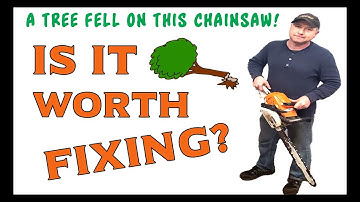 A Tree Fell On This Chainsaw - Is It Worth Fixing?