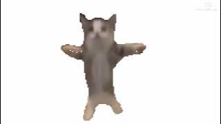 COEMS SONG 🐈 [10 Hours]