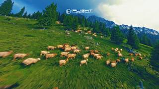 FPV Cinematic | Chasing the Colors of Summer in Xinjiang with BOB46
