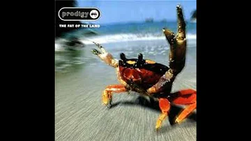 The Prodigy - Fat Of The Land - 05 - Serial Thrilla