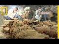 Get a First Look Inside a Newly Opened Egyptian Tomb | National Geographic