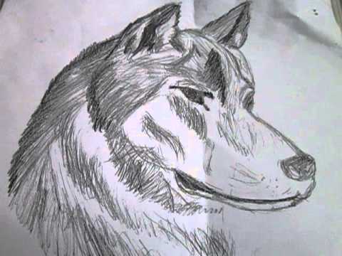 ამბავი ნამდვილ სიყვარულზე