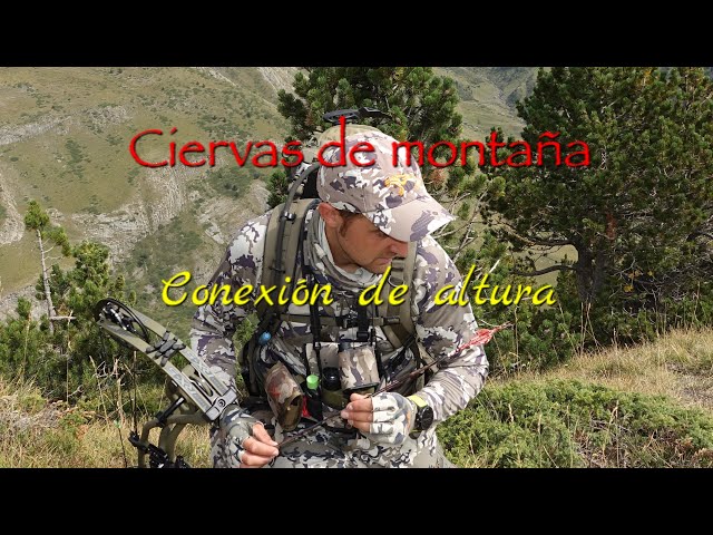 Ciervas de montaña, la fiebre de los venabolos num -1. Temp 21/22. Oncahunter, Hoyt Rx5.