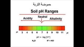 العلاقه بين الملوحه وال ph