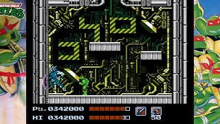 TMNT nes final level