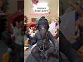 Ganesh idols For sale #ganeshchaturthi #ganeshidol #ytshorts