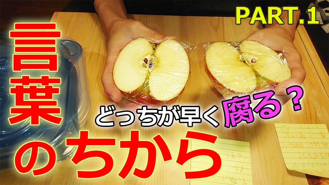 言葉の力 どっちのリンゴが早く腐るのか検証 その1 Youtube