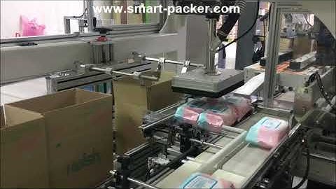 Baby paper tissue bag robot hands sorting picking cartoning machine encasing line packing video