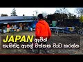 japanguide/ kamikochi nagano /නගානෝ ඇපල් වතු දැකල තියෙනවා ද?