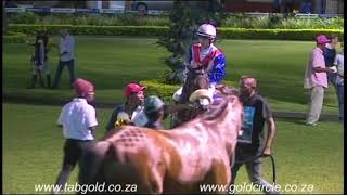 20180127 Greyville Race 7 won by KAZAAR