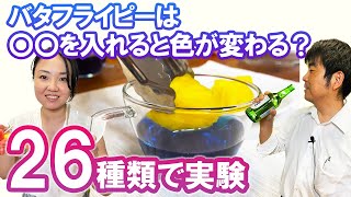 【実験26種類！】バタフライピーに色んなものを入れて色が変わるか試してみた！