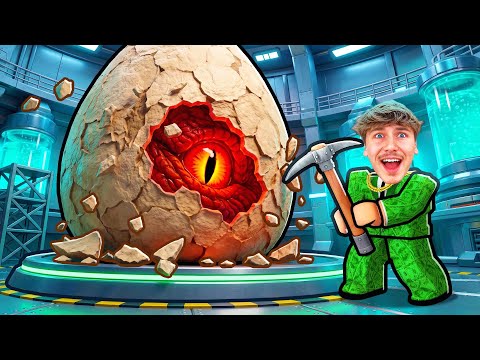 THE DARK TRUTH ABOUT VOLIN EGG…