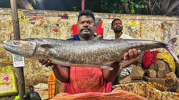 KASIMEDU SPEED SELVAM | BIG SIZE LIVE KING SEER FISH CUTTING VIDEO | 4K VIDEO | KM FISH CUTTING 
