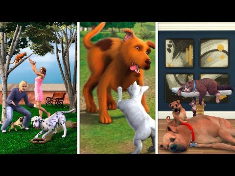 Питомцы в The Sims | Сравнение 3 частей