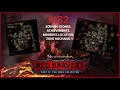 Neverwinter - Module 32 Doomvault remains scrying stones, zone mechanic & achievements, miniboss map