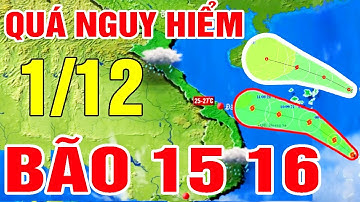🔴[Trực Tiếp] Bão Số 15 Chưa Tan, Bão Số 16 Hình Thành Hướng Vào Biển Đông | Dự báo thời tiết hôm nay