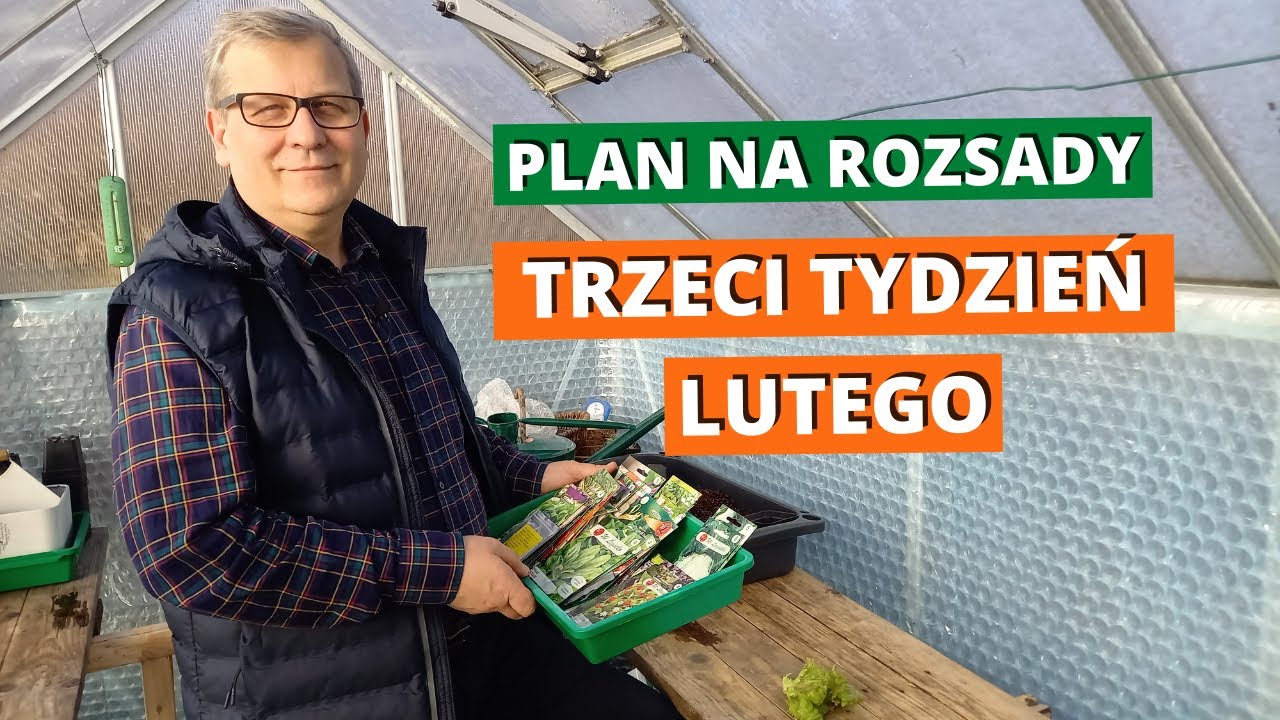 Co siać w trzecim tygodniu lutego? Plan na rozsady 2022
