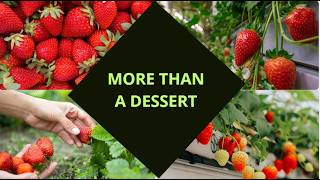 Strawberries – Heart Health Explained