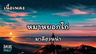 Video thumbnail of "หมาหยอกไก่/ลมเพลมพัด/ถนนแปลกแยก - มาลีฮวนน่า"