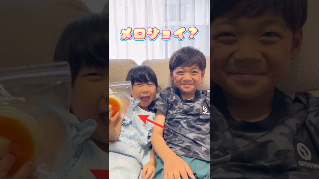 メロジョイだと思う妹と妥協する兄 #ゆーゆなチャンネル #スクイーズ #メロジョイ