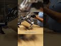 Electro polishing
