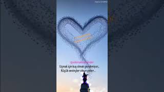 Sevmek Güzeldi̇r Resimi