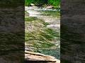 "Water Dance"