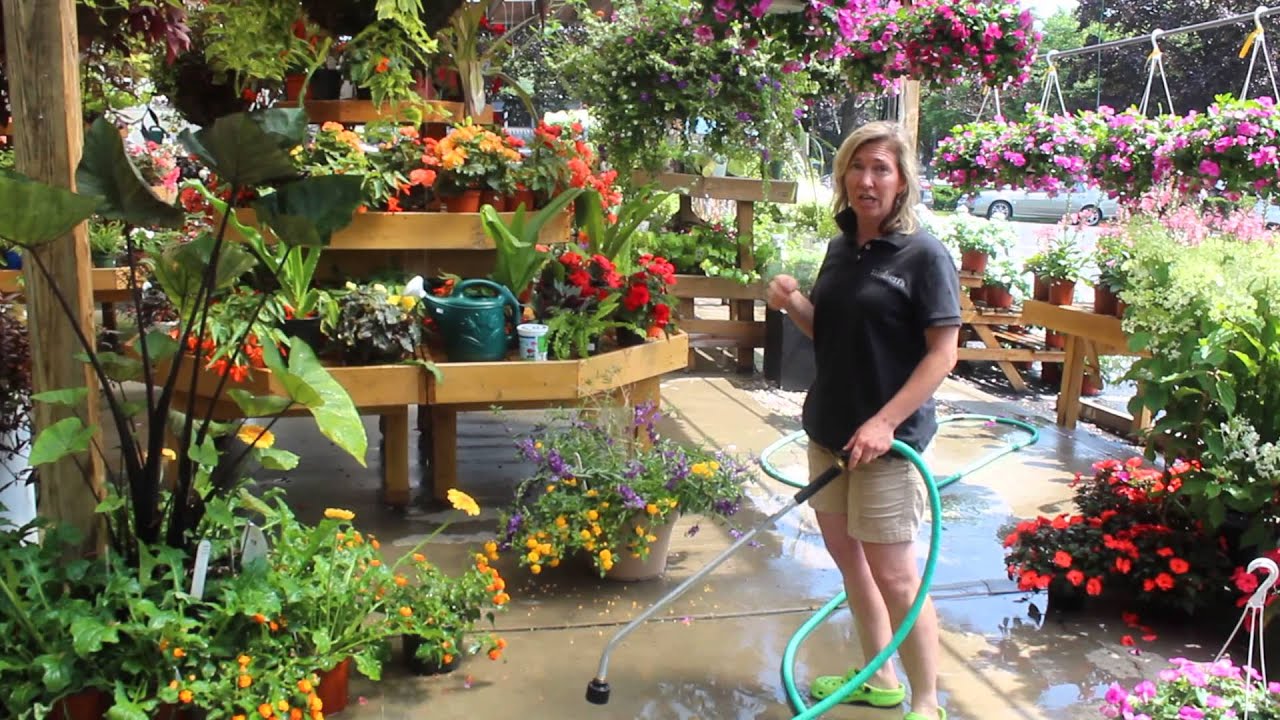 Tips on proper watering technique for hanging baskets and patio pots