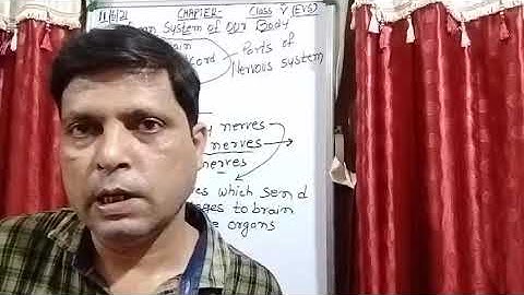 Class V EVS 11 06 2021by Mr Rupesh Chapter 1