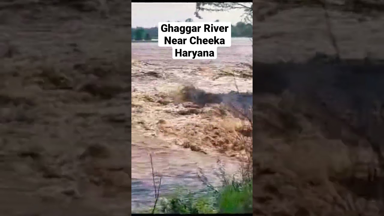 Ghaggar River Near Cheeka Floods