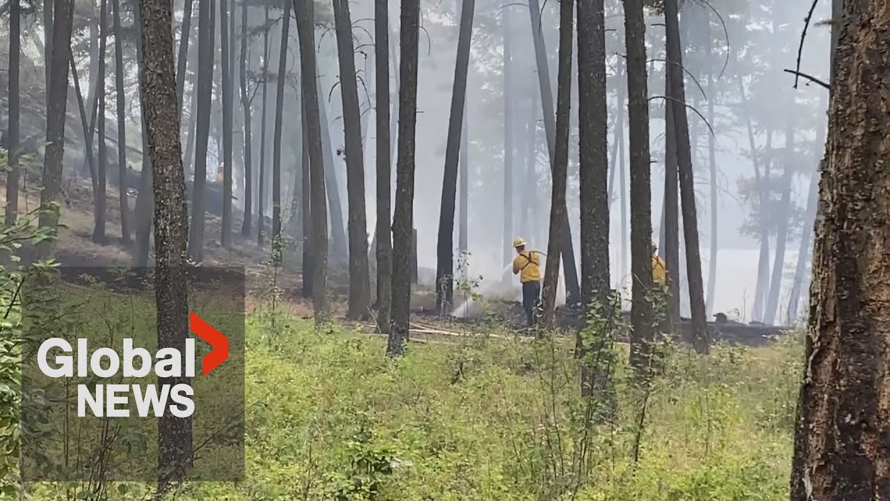 BC wildfires: Campfires banned across province as lighting triples activity