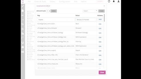 icCube 6 - How to create a localized (translated) schema and report