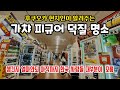 후쿠오카 현지인이 추천하는 덕질 중고샵 성지 망가소코. 피규어/게임/ 망가/밀리터리/낚시/골프/악기/캠핑/인형뽑기 없는게 없는 초대형 중고장터 가챠샵 만화창고 츠키쿠마점.