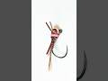 Pheasant Tail Euro/Jig Nymph. #flytying #flyfishing #nymphs #euronymphing #shotaflies #Bestfly
